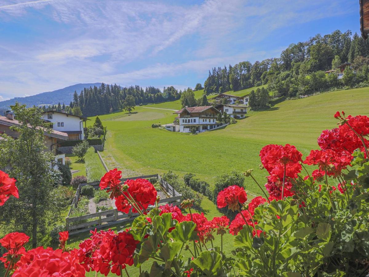 Anna Maria Apartment Hopfgarten im Brixental Exterior photo